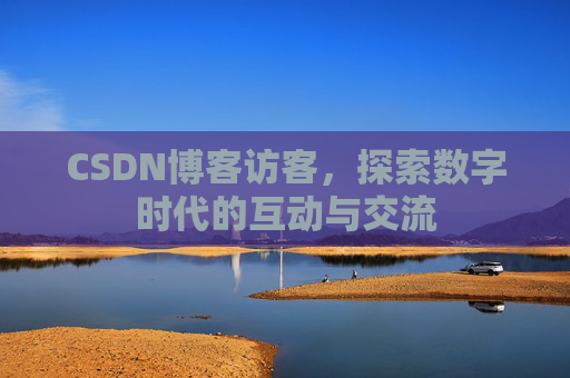 CSDN博客访客，探索数字时代的互动与交流